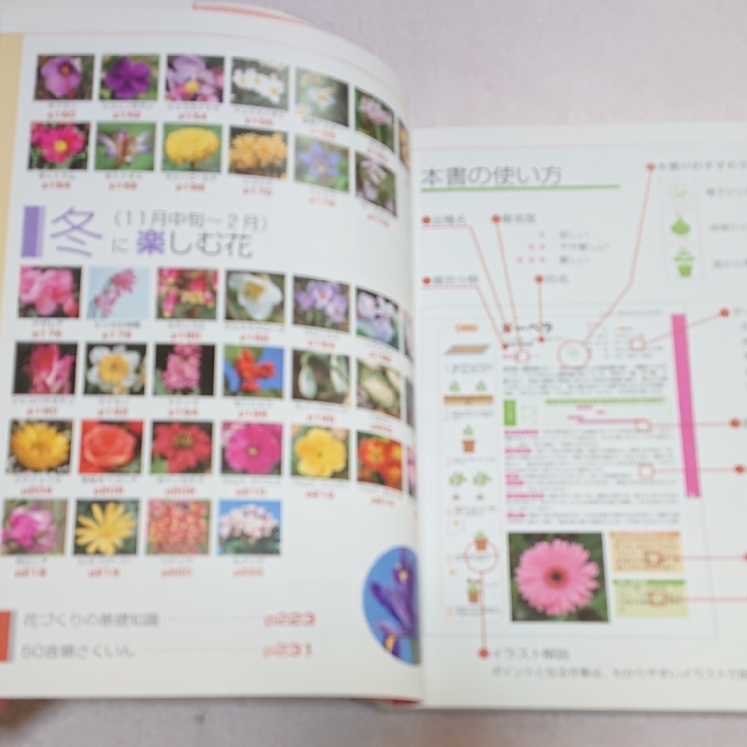 学研(ガッケン)のはじめての庭づくり百科➕12ヶ月楽しむ花づくり エンタメ/ホビーの本(趣味/スポーツ/実用)の商品写真