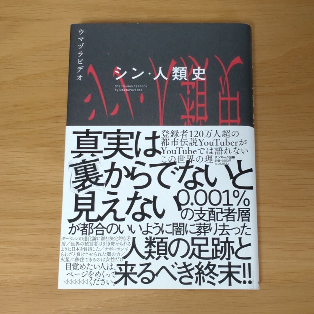 シン・人類史 エンタメ/ホビーの本(その他)の商品写真