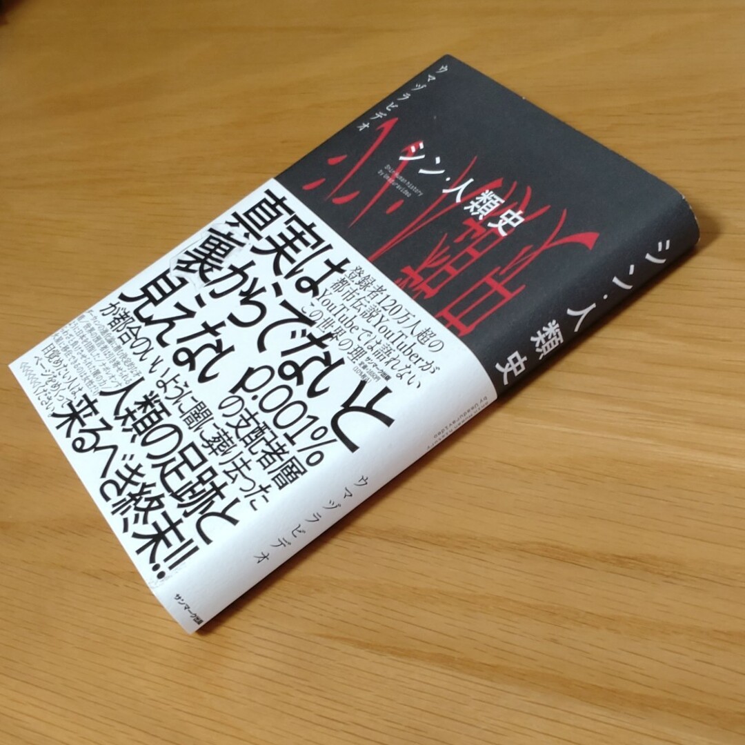 シン・人類史 エンタメ/ホビーの本(その他)の商品写真