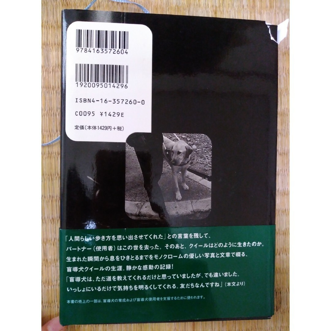 盲導犬クイ－ルの一生 エンタメ/ホビーの本(その他)の商品写真