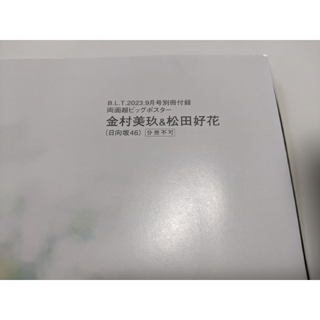 日向坂46(ヒナタザカフォーティーシックス)の金村美玖＆松田好花　両面ビッグポスター チケットの音楽(女性アイドル)の商品写真