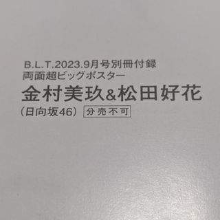 ヒナタザカフォーティーシックス(日向坂46)の金村美玖＆松田好花　両面ビッグポスター(女性アイドル)