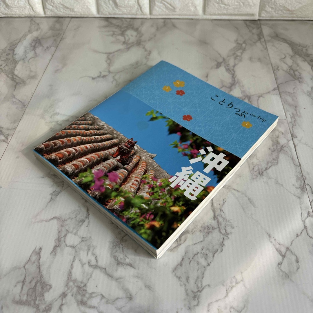 沖縄 エンタメ/ホビーの本(その他)の商品写真