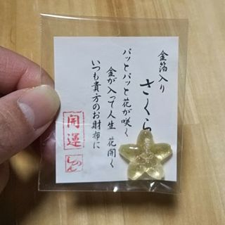 金箔入り 金の桜 お財布守り(その他)