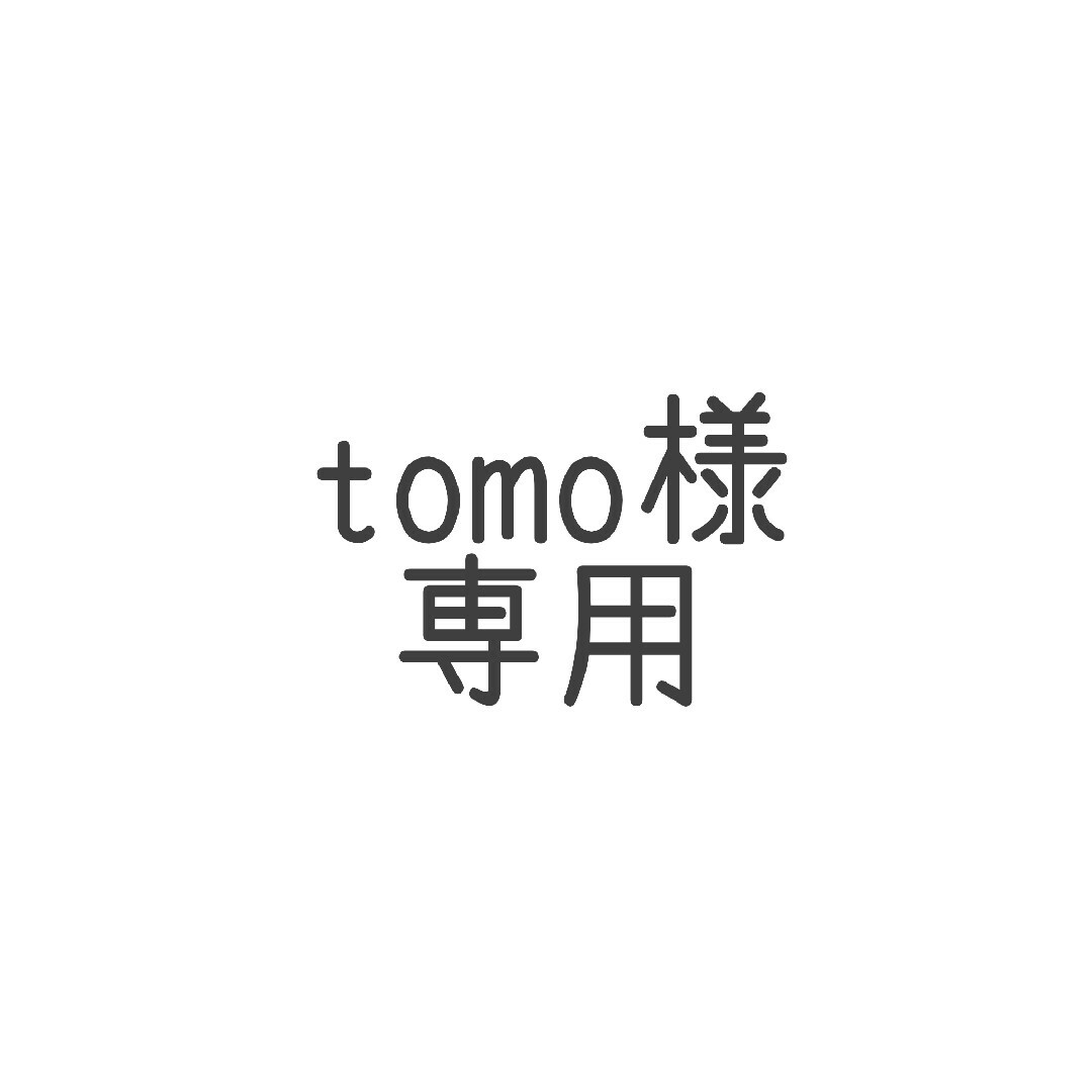 tomo様専用 エンタメ/ホビーのおもちゃ/ぬいぐるみ(ぬいぐるみ)の商品写真