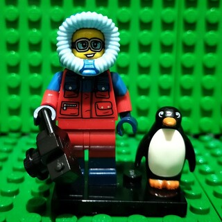 レゴ(Lego)のLEGO 71013 ミニフィギュア シリーズ16 野生生物写真家 ペンギン(その他)