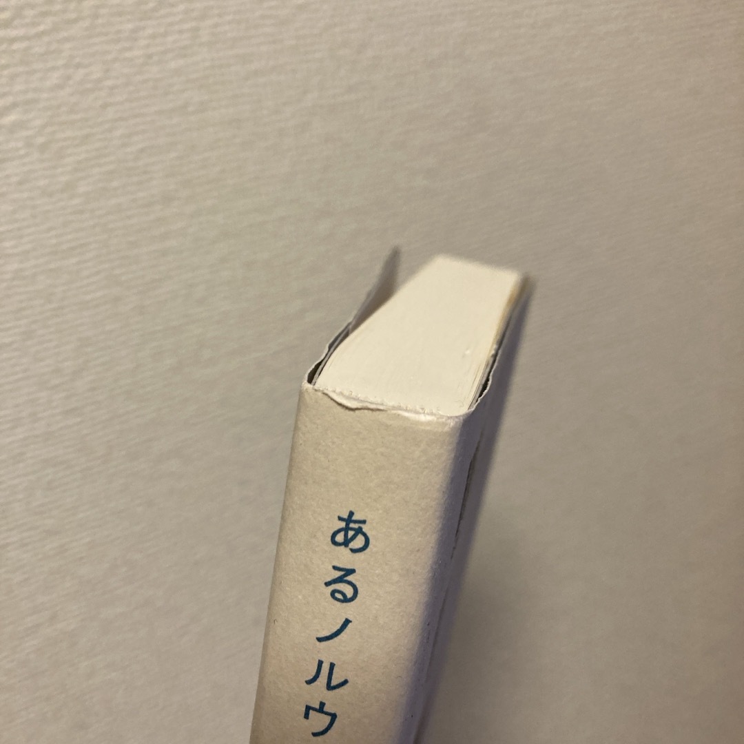 あるノルウェーの大工の日記 エンタメ/ホビーの本(文学/小説)の商品写真