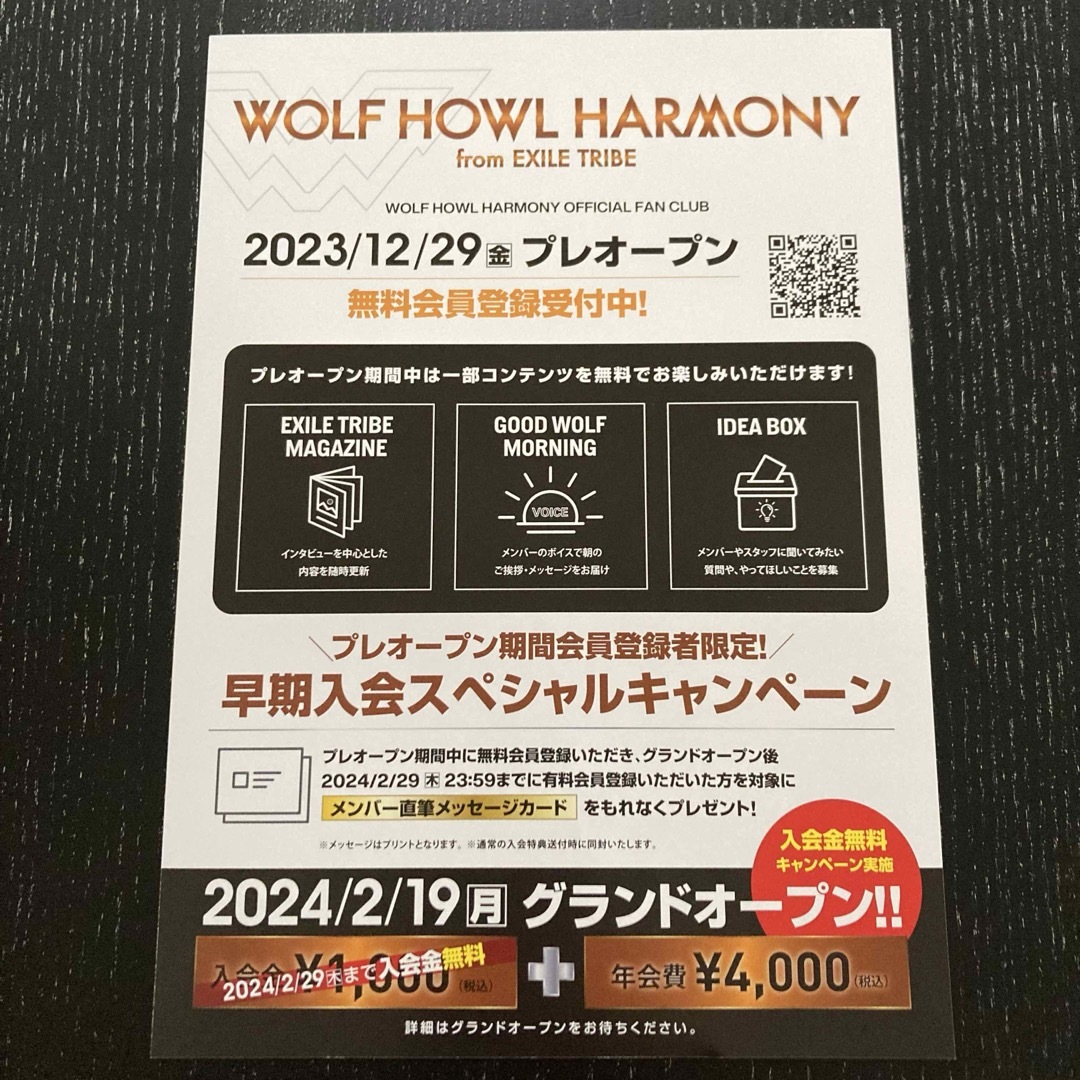 EXILE TRIBE(エグザイル トライブ)のWOLF HOWL HARMONY ウルフ　フライヤー　サイン　FC 新品　美品 エンタメ/ホビーのタレントグッズ(ミュージシャン)の商品写真