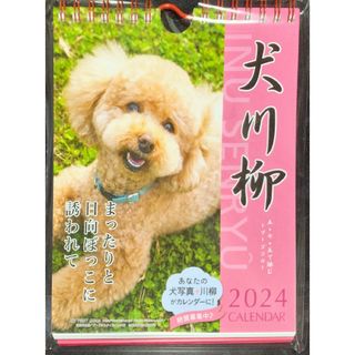 犬川柳　週めくりカレンダー2024年　プードル(カレンダー/スケジュール)