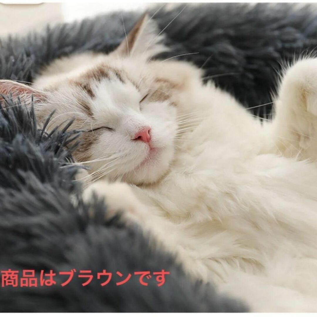 ペット ベッド 犬 猫  猫クッション 防寒 クッション 寝床 洗える 暖かい その他のペット用品(猫)の商品写真