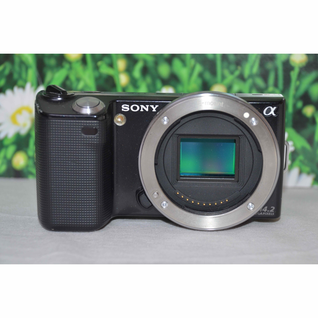 デジタルカメラソニー SONY α NEX-5T ブラック