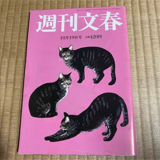 週刊文春 (平成29年10月19日号) 篠原涼子.瑛太.他(ニュース/総合)