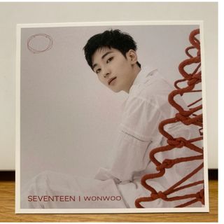 セブンティーン(SEVENTEEN)のseventeen ウォヌ　トレカ　写真(アイドルグッズ)