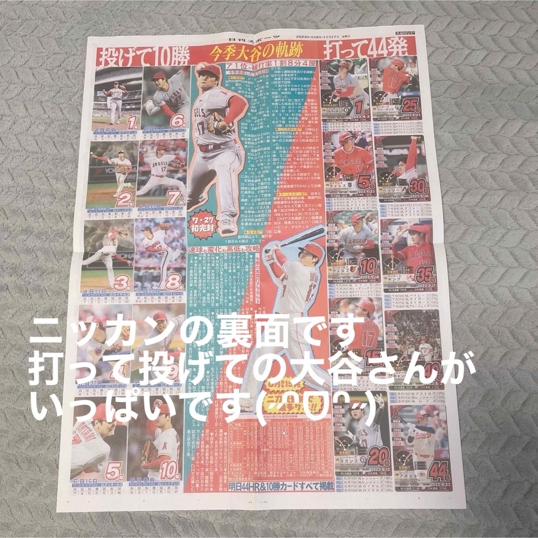 西川(ニシカワ)の大谷翔平 タオルセット(等身大タオル含む ) おまけ付き エンタメ/ホビーのタレントグッズ(スポーツ選手)の商品写真