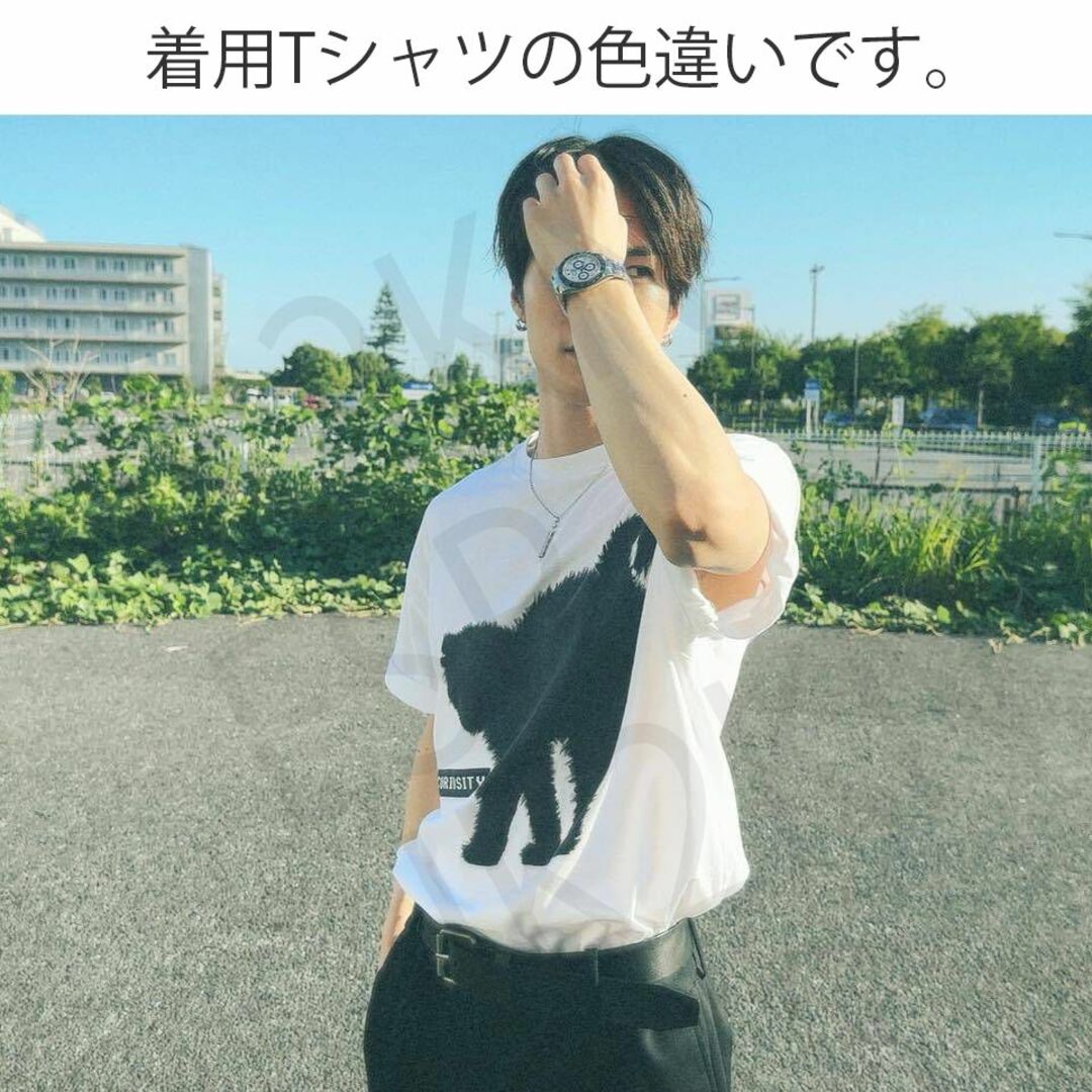 THE RAMPAGE(ザランページ)の【新品】THE RAMPAGE 藤原樹 着用 Tシャツ 色違い同型 猫 ランペ エンタメ/ホビーのタレントグッズ(ミュージシャン)の商品写真