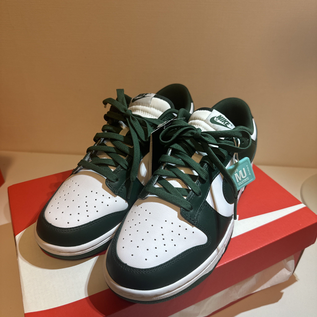 メンズNike dunk low Team Green 28cm