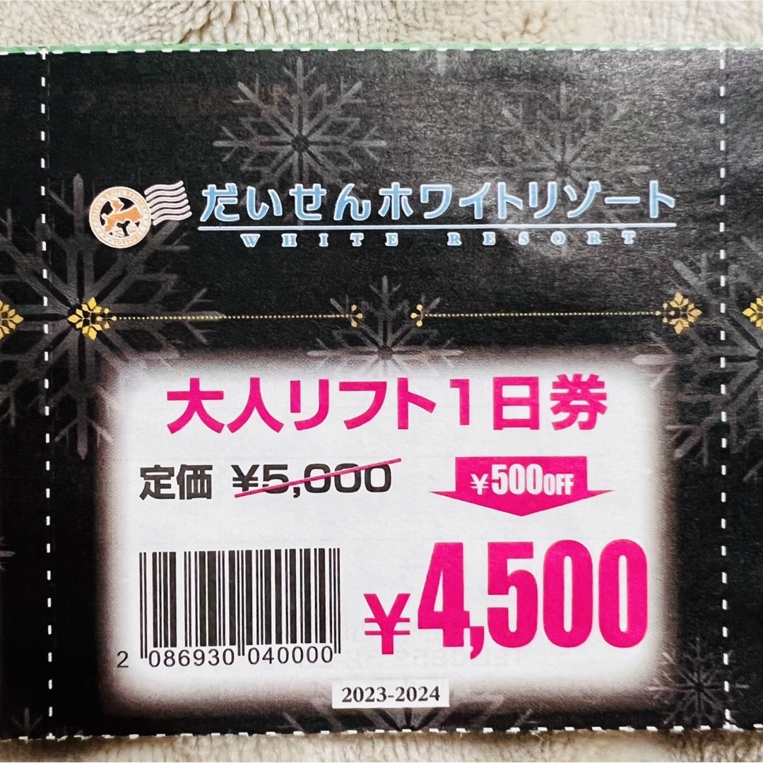 鳥取 だいせんホワイトリゾート 割引券 9枚セット チケットの施設利用券(スキー場)の商品写真