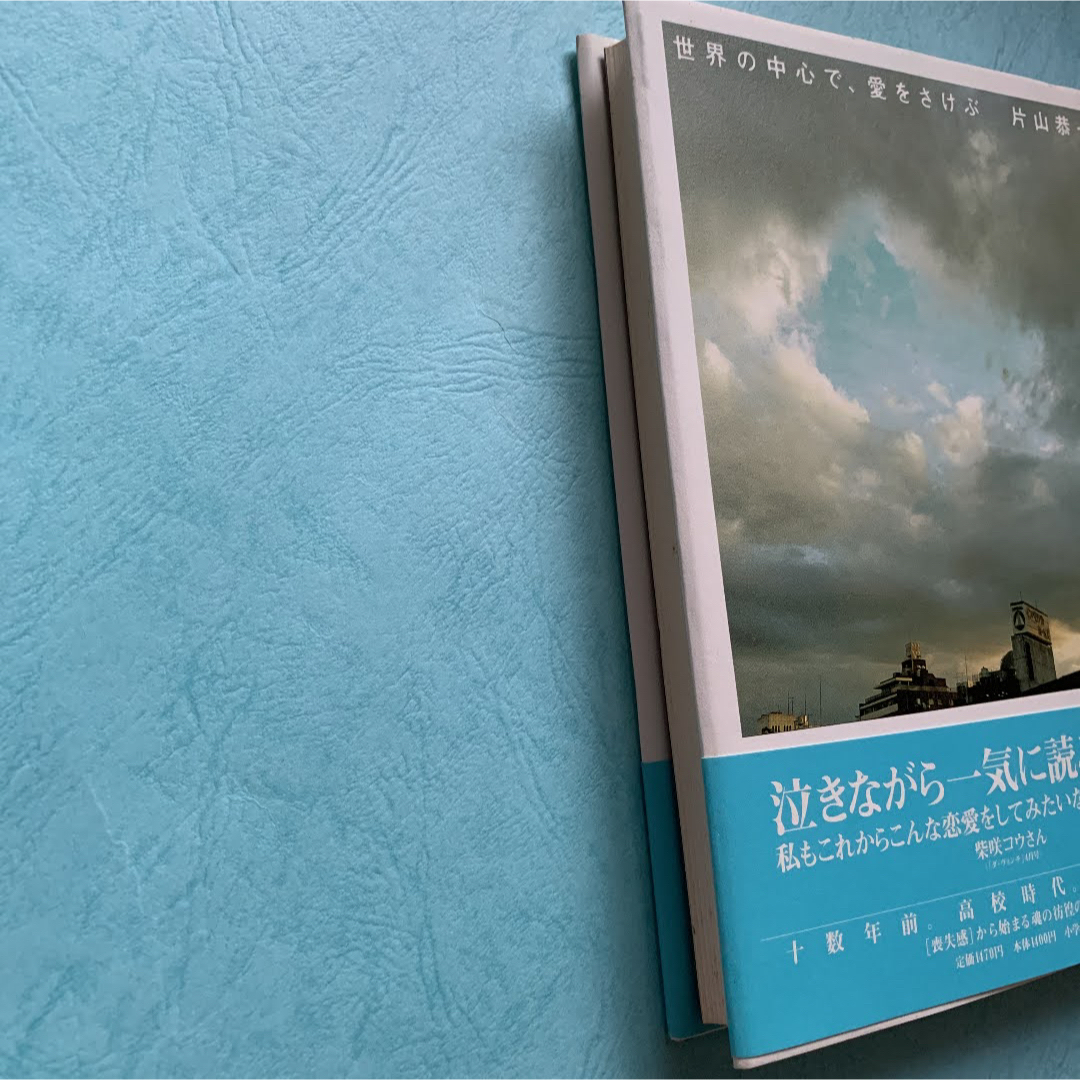 小学館(ショウガクカン)の世界の中心で、愛をさけぶ　片山恭一　　セカチュー　映画化 エンタメ/ホビーの本(文学/小説)の商品写真