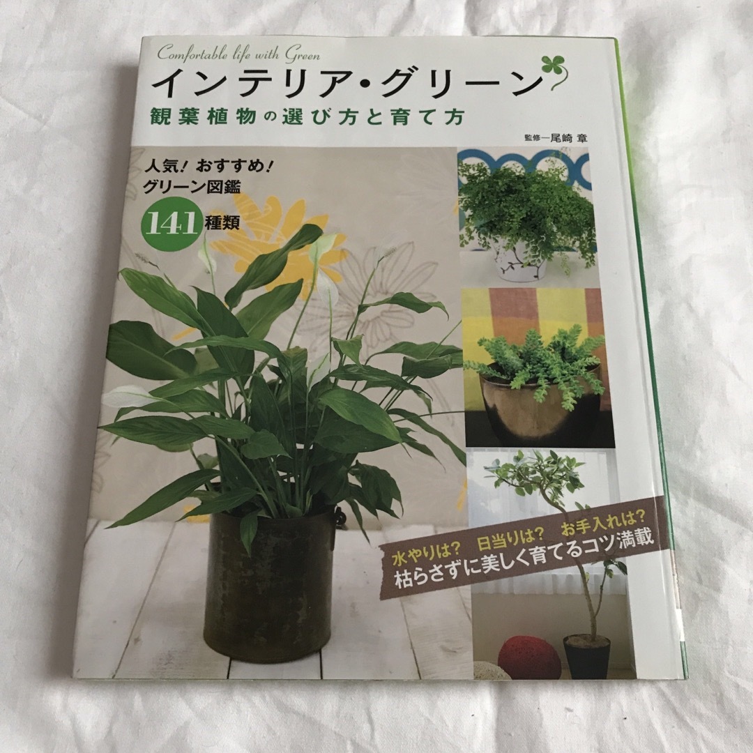 インテリア・グリーン観葉植物の選び方と育て方 エンタメ/ホビーの本(趣味/スポーツ/実用)の商品写真