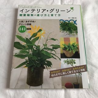 インテリア・グリーン観葉植物の選び方と育て方(趣味/スポーツ/実用)