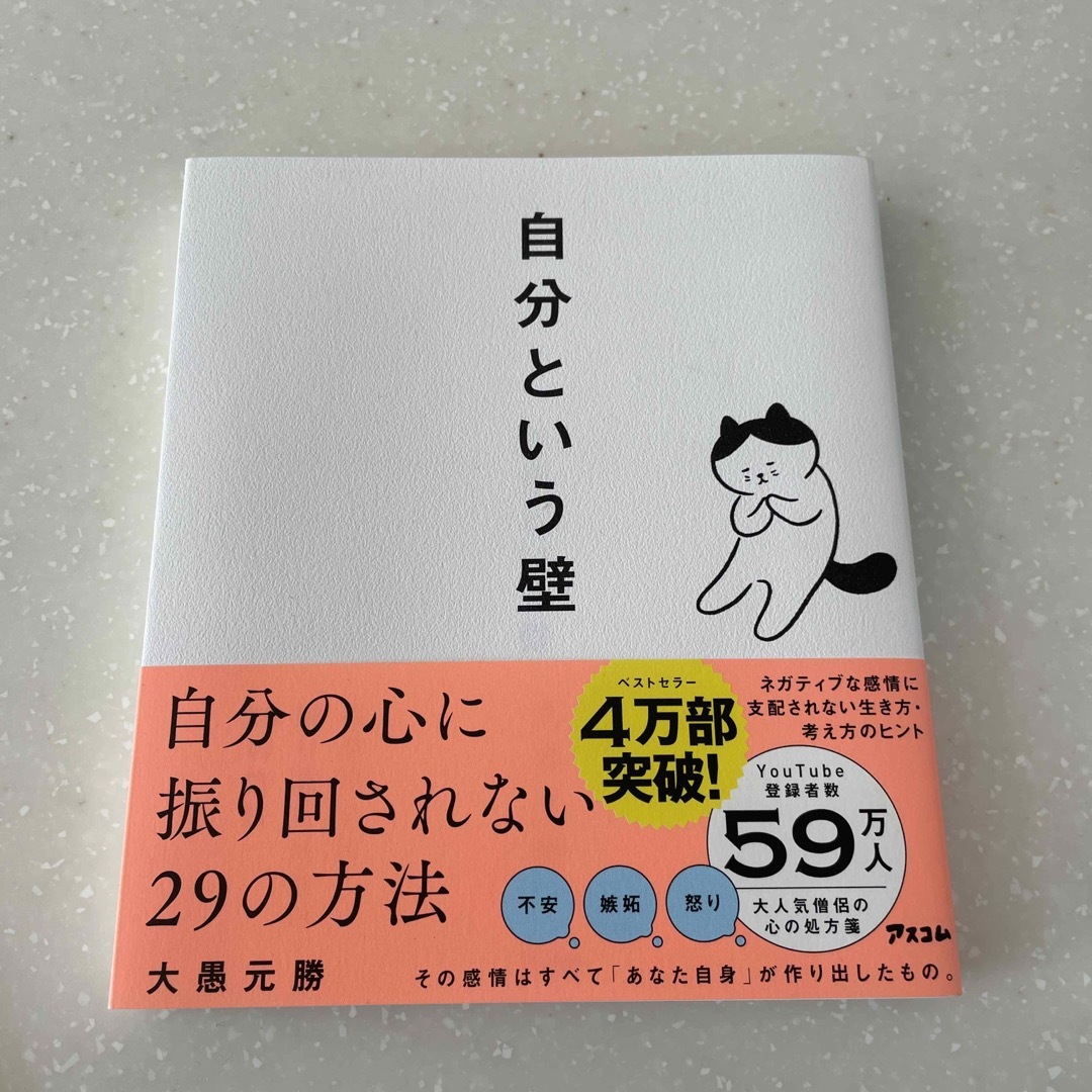 自分という壁　自分の心に振り回されない２９の方法 エンタメ/ホビーの本(その他)の商品写真