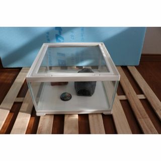 ジェックス(GEX)の爬虫類用　小型飼育水槽 GEX  レプテリア 300CUBE(爬虫類/両生類用品)