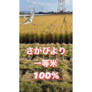 ⭐️新米令和5年産1等米⭐️佐賀県産さがびより10k(5k×2袋)(米/穀物)