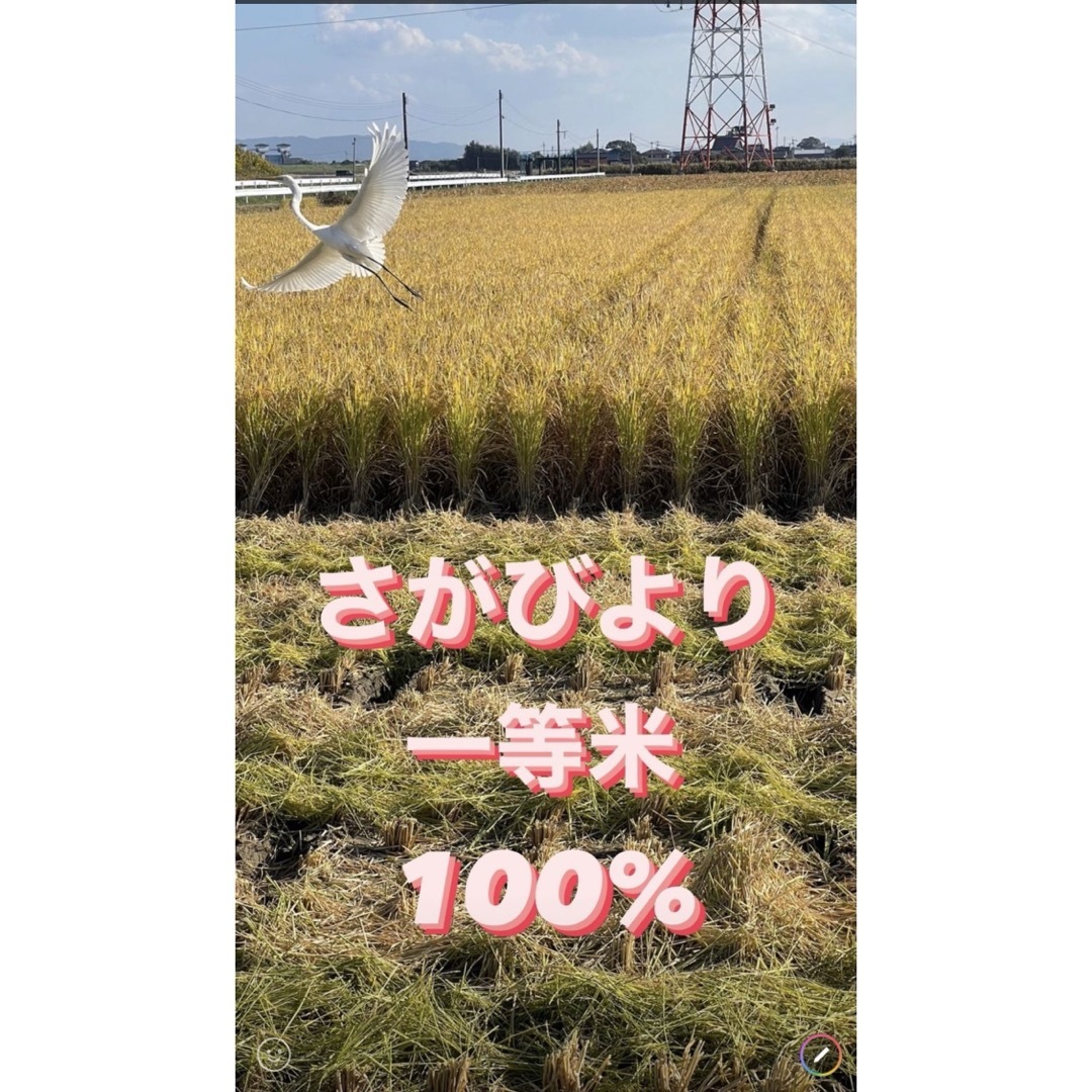 ⭐️新米 令和5年産1等米⭐️佐賀県産さがびより20k(5k×4袋)食品/飲料/酒