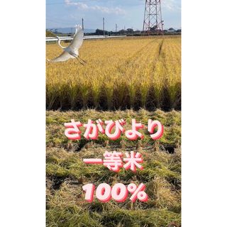 ⭐️新米令和5年産1等米⭐️佐賀県産さがびより10k(5k×2袋)(米/穀物)