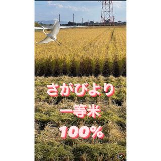 ⭐️新米 令和5年産1等米⭐️佐賀県産さがびより20k(5k×4袋)(米/穀物)