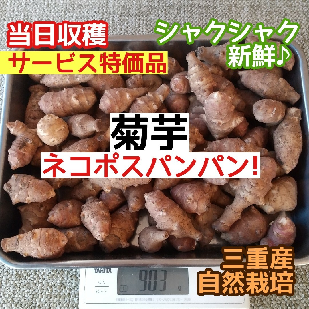 【サービス特価】三重産 菊芋 キクイモ 1kg ネコポスパンパン！ ◎レシピ付 食品/飲料/酒の食品(野菜)の商品写真