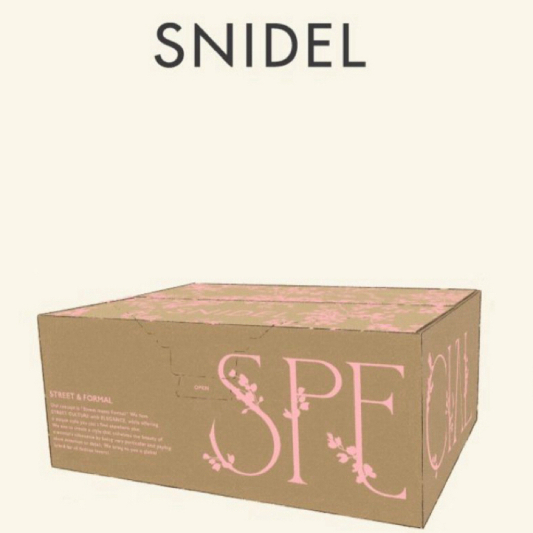 SNIDEL(スナイデル)のスナイデル2024 レディースのワンピース(ひざ丈ワンピース)の商品写真