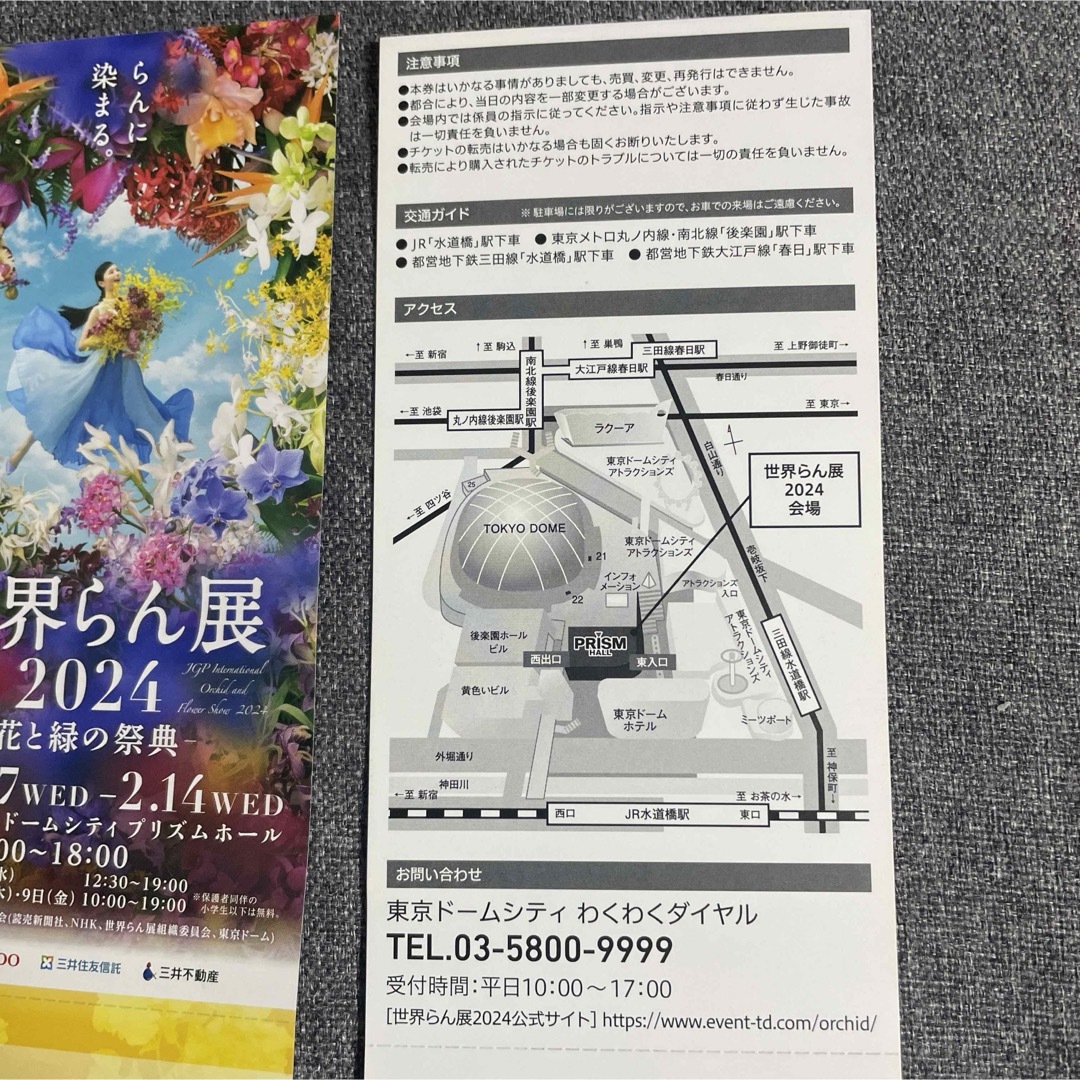 世界らん展ペア招待券 チケットのイベント(その他)の商品写真