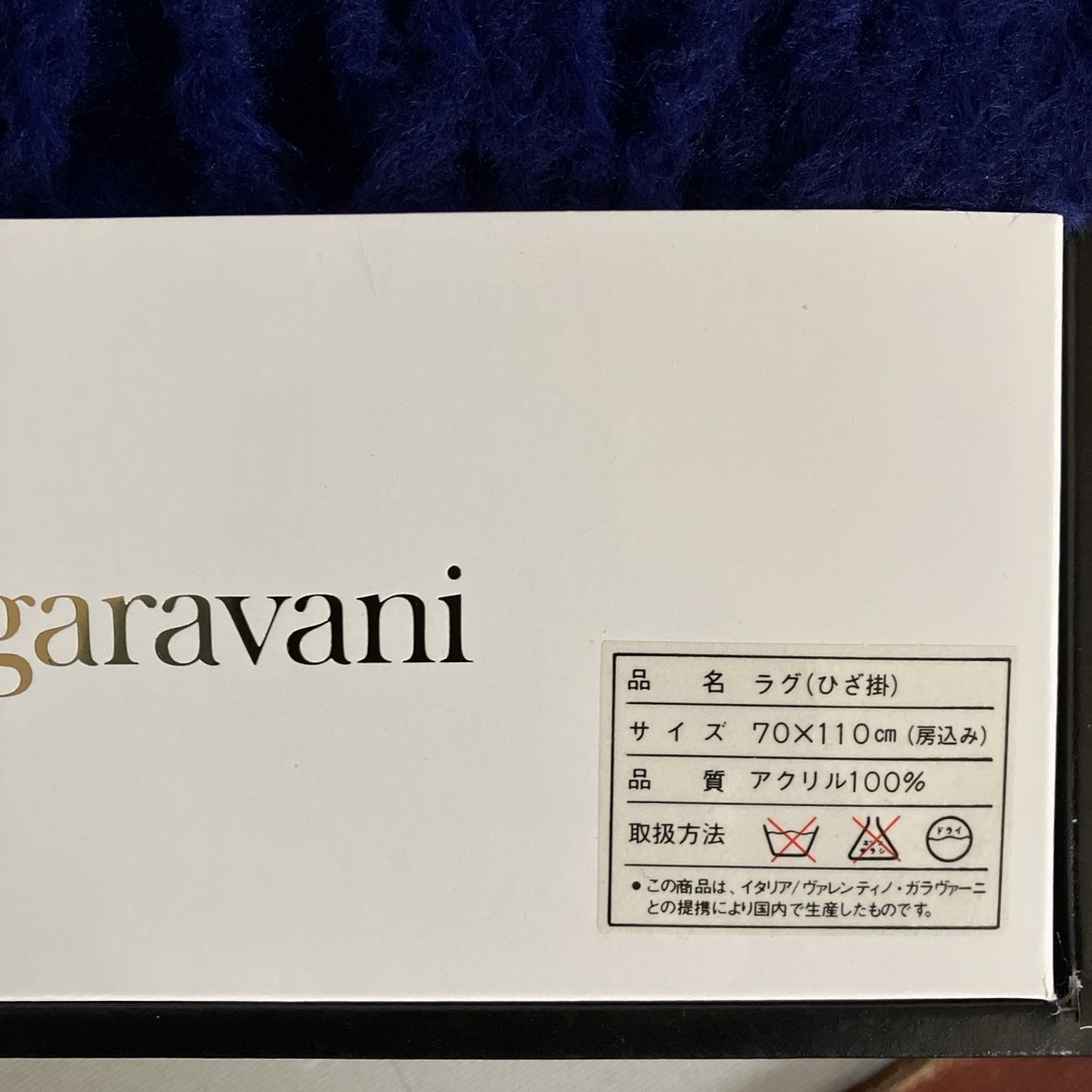 valentino garavani(ヴァレンティノガラヴァーニ)のバレンティノ　大判　膝掛け レディースのファッション小物(その他)の商品写真