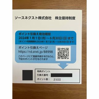 ソースネクスト株主優待　2500ポイント(ショッピング)