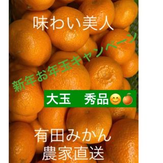 有田みかん農家直送新年お年玉キャンペーンブランド味わい美人大玉秀品箱込み10キロ(フルーツ)