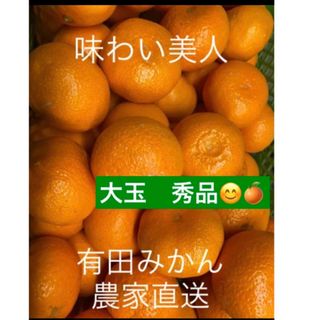 有田みかん農家直送ブランド味わい美人新年キャンペーン☆大玉秀品箱込み10キロ(フルーツ)