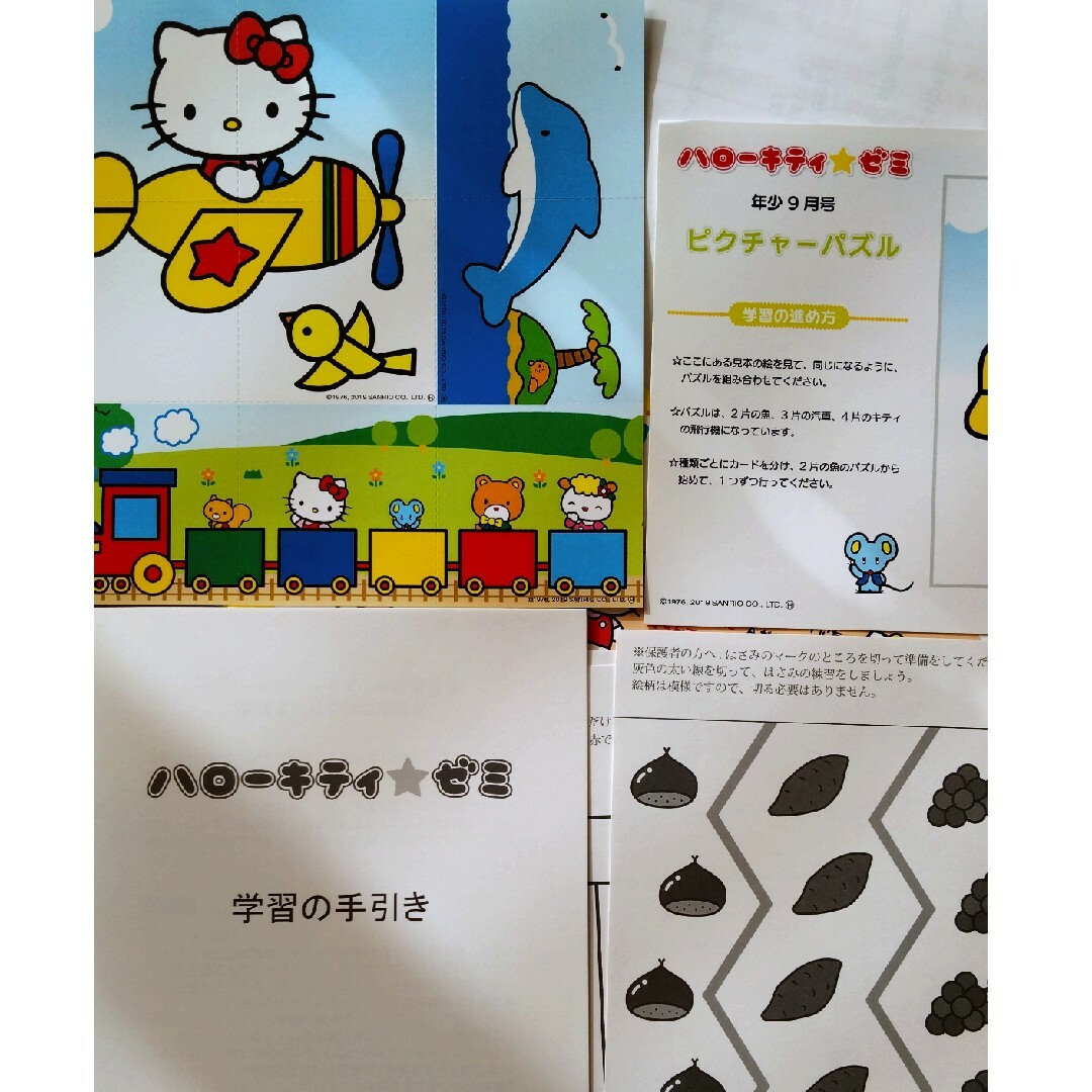 ばろん様専用 こぐま会 ハローキティゼミ モコモコゼミ ねん