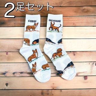 コーギー＆ダックス 靴下 ソックス 2足セット レディース 犬柄(ソックス)