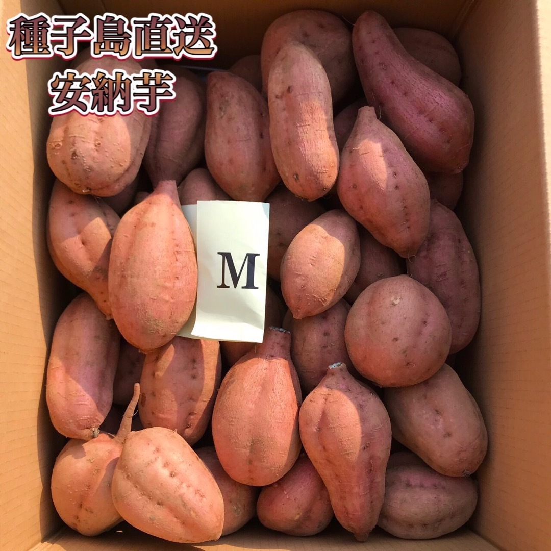 【絶品】種子島産  安納芋M 4kg(箱別) 食品/飲料/酒の食品(野菜)の商品写真