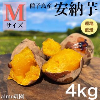 【絶品】種子島産  安納芋M 4kg(箱別)(野菜)