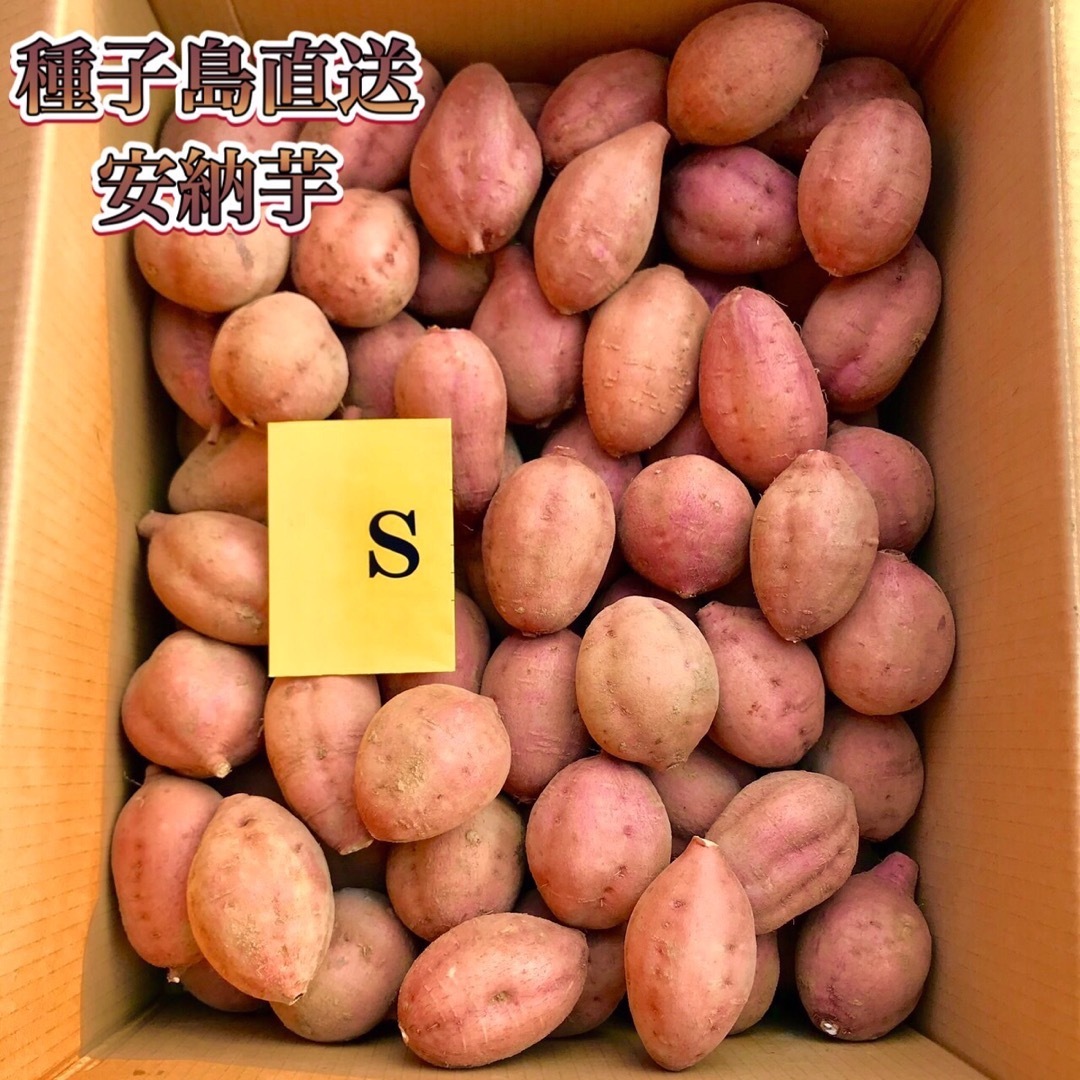 【絶品】種子島産  安納芋S 2kg(箱別) 食品/飲料/酒の食品(野菜)の商品写真