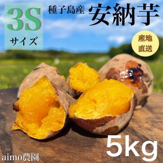 【絶品】種子島産  安納芋3S 5kg(箱別)(野菜)