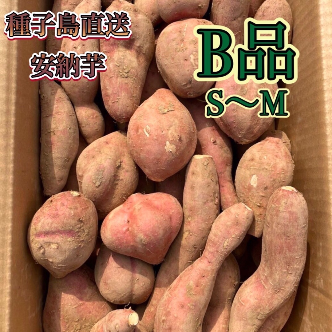 【絶品】種子島産安納芋 B品(S~Mサイズ) 2kg(箱別) 食品/飲料/酒の食品(野菜)の商品写真