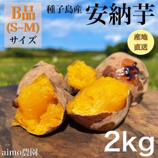 【絶品】種子島産安納芋 B品(S~Mサイズ) 2kg(箱別)(野菜)