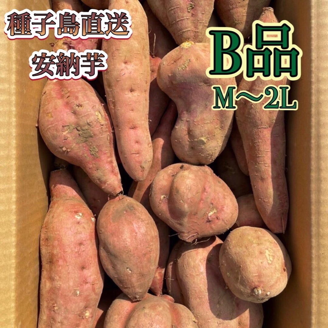 【絶品】種子島産安納芋 B品(M~2Lサイズ) 3kg(箱別) 食品/飲料/酒の食品(野菜)の商品写真