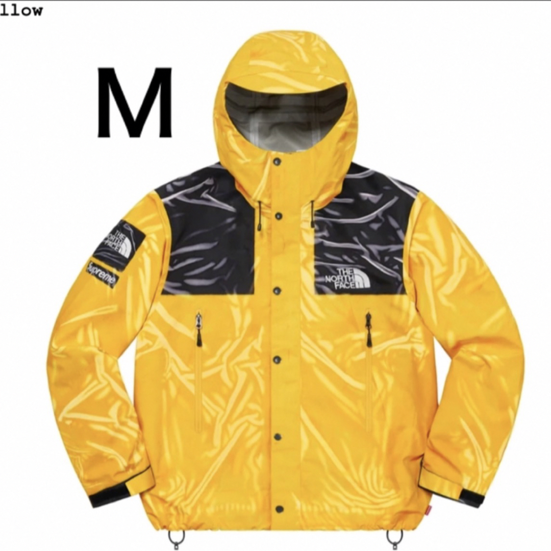 Supreme(シュプリーム)のThe North Face Trompe Loeil Printed  TNF メンズのジャケット/アウター(マウンテンパーカー)の商品写真