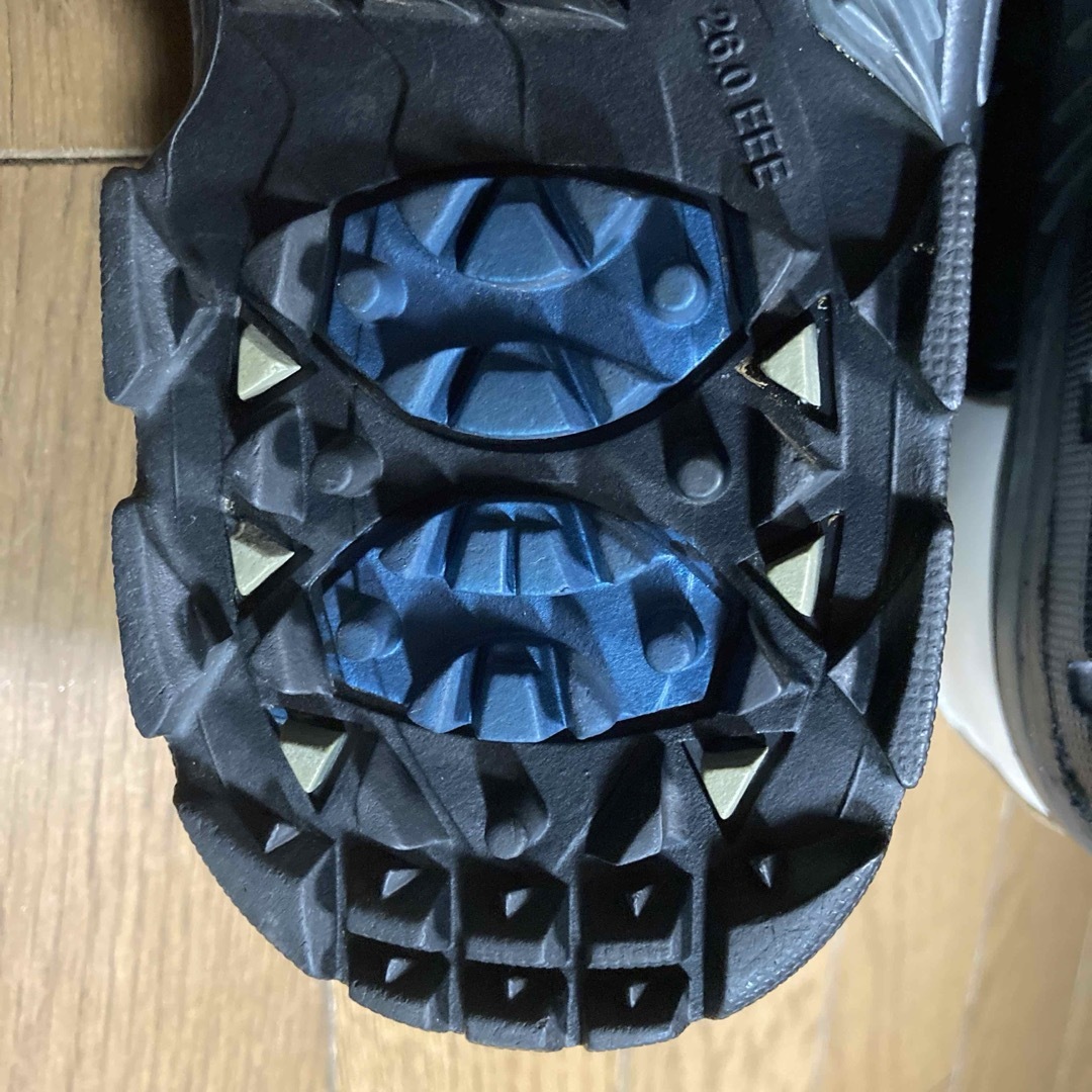 XXIO(ゼクシオ)のXXIO DIGISOLE GORE・TEX 26.0cmEEE スポーツ/アウトドアのゴルフ(シューズ)の商品写真