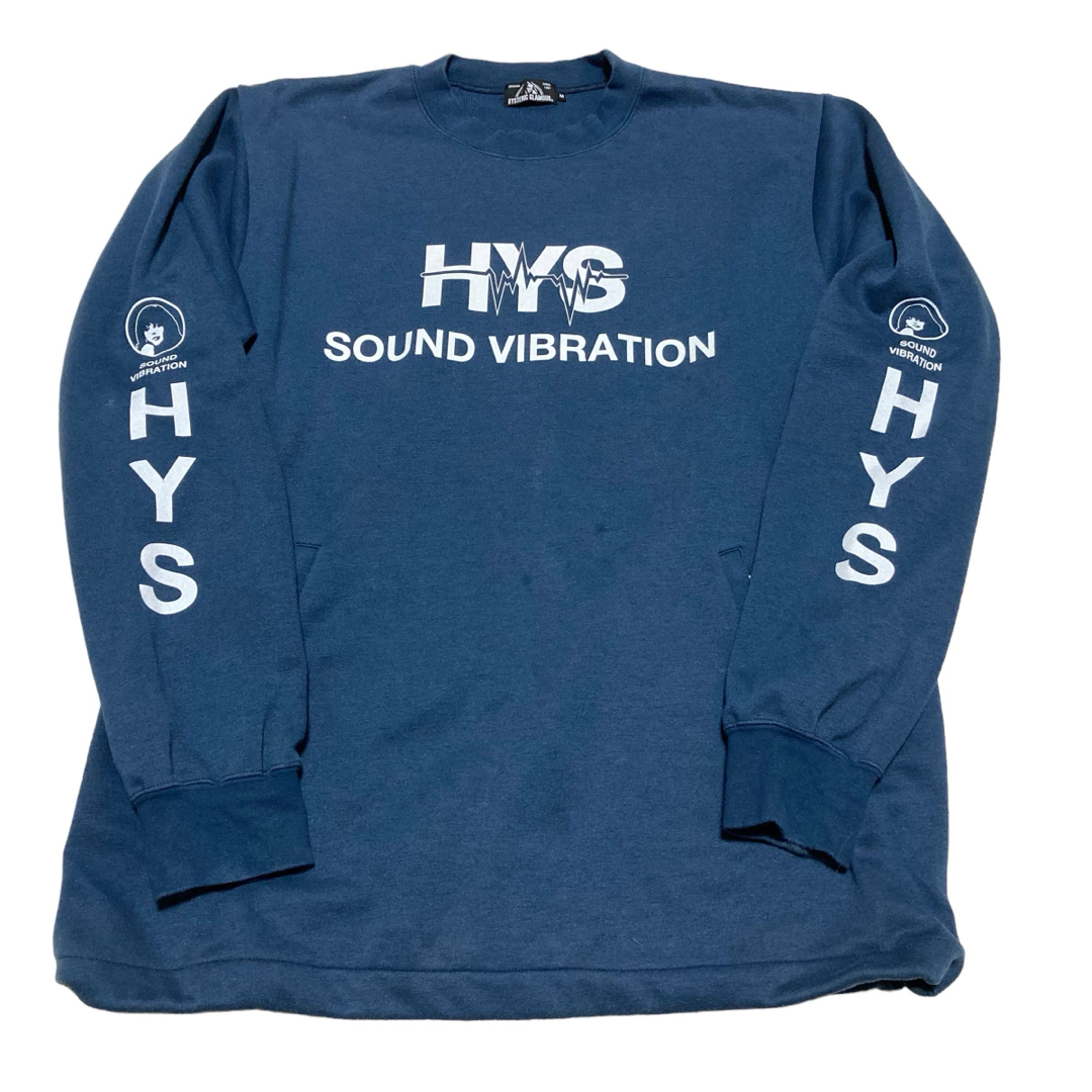 HYSTERIC GLAMOUR(ヒステリックグラマー)のヒステリックグラマー　両腕 ヒスガール　ポケット　HYS スウェット　M メンズのトップス(スウェット)の商品写真