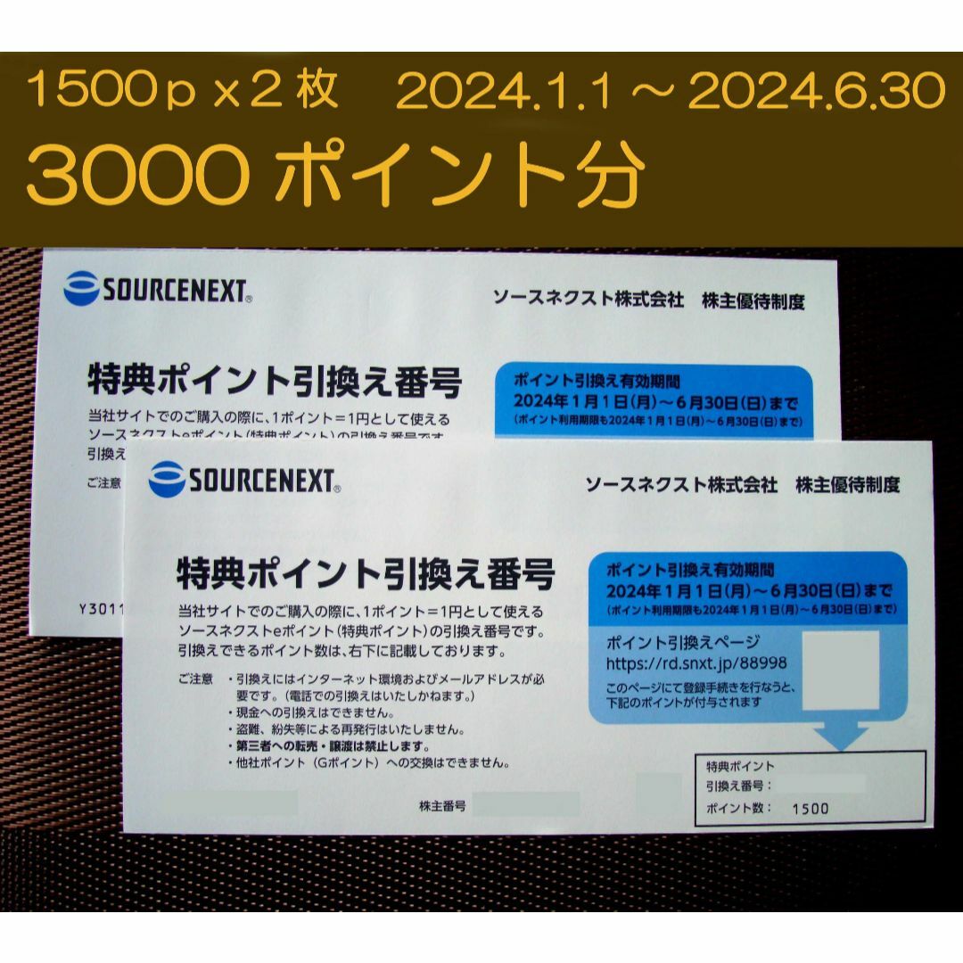 ソースネクスト　株主優待　3000ポイント分 チケットの優待券/割引券(ショッピング)の商品写真